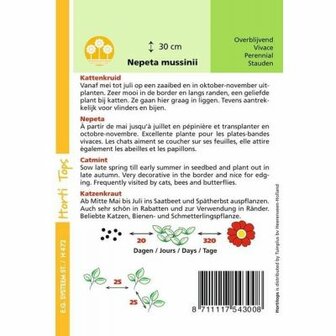 Horti Tops Nepeta Kattenkruid Nepeta faassenii paars zaden achterkant