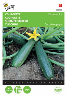 Courgette (Zucchini) Diamant F1 zaden