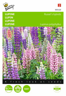 Lupinus Russell&#039;s Hybriden (gemengd) zaden