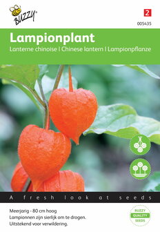 Lampionplant franchetti gigantea zaden