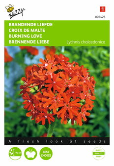 Brandende Liefde (Lychnis) - voorkant