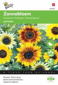 Zonnebloem Miniatuur Cucumerifolius (gemengd) zaden