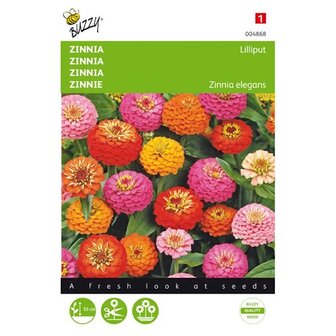 Zinnia Lilliput gemengde zaden voorkant