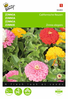 Zinnia Californische Reuzen gemengd - voorkant