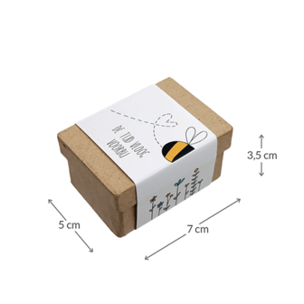 De tijd vloog voorbij - Zaadbommetjes in papier mach&eacute; doosje