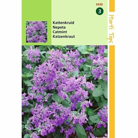 Horti Tops Kattenkruid Nepeta faassenii paars zaden