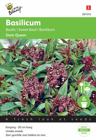 Thaise Basilicum Siam Queen zaden 