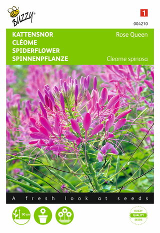 Kattensnor Rose Queen Cleome zaden - voorkant