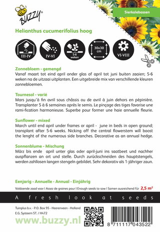 Zonnebloem Miniatuur Cucumerifolius (gemengd) zaden - achterkant