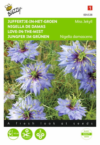 Juffertje-in-het-groen Miss Jekyll blauw (Nigella) - voorkant