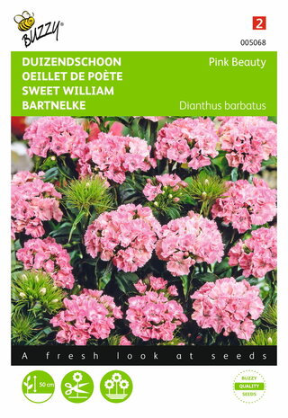 Duizendschoon Pink Beauty zaden