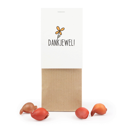 Dankjewel - Bloembollen in kraft stazakje